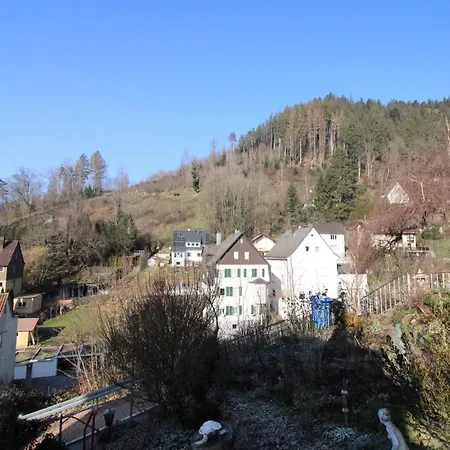 Schwarzwaldblick Apartment Schramberg Exterior photo