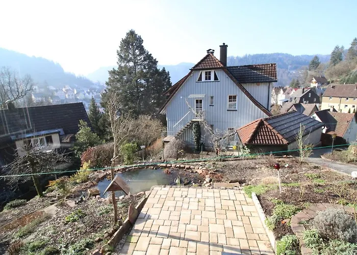 Schwarzwaldblick