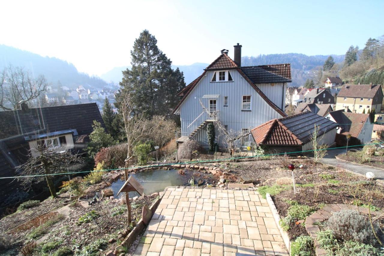 Apartment Schwarzwaldblick